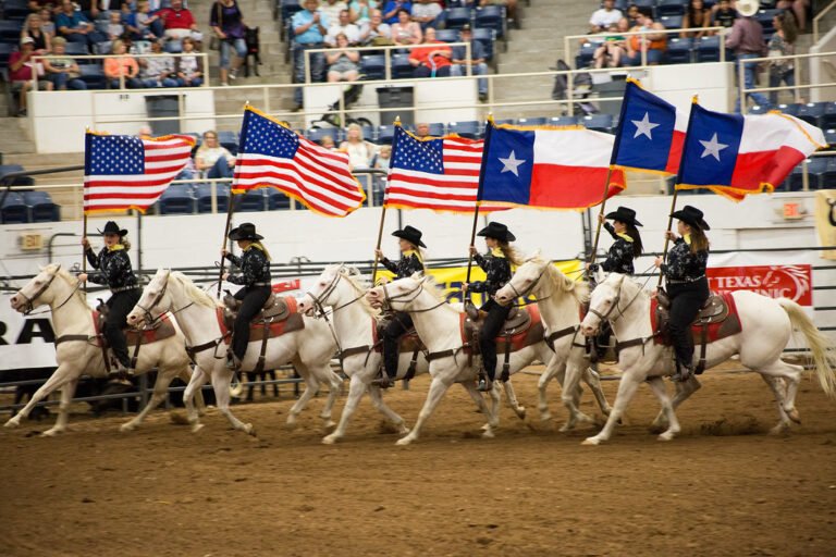 HSU horses