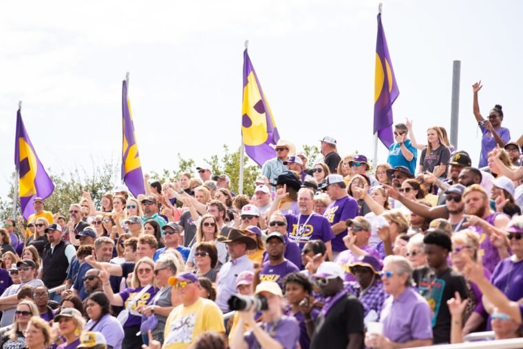 Spectators cheer in the stands during last year's homecoming.